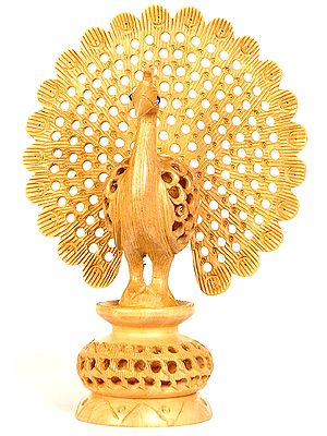 Peacock: The National Bird of India