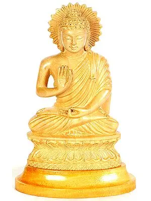 Preaching Buddha