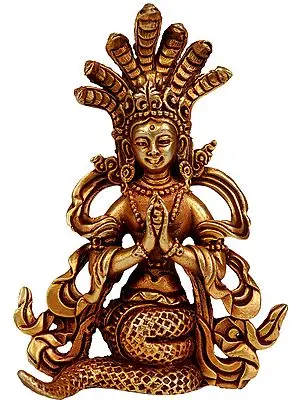 Naga-Kanya making an Offering to Lord Vishnu