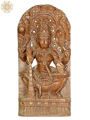 Goddess Lakshmi with Raining Coins
