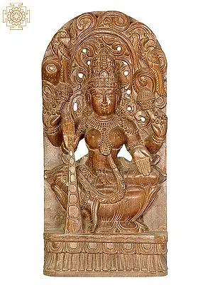 Goddess Lakshmi with Raining Coins
