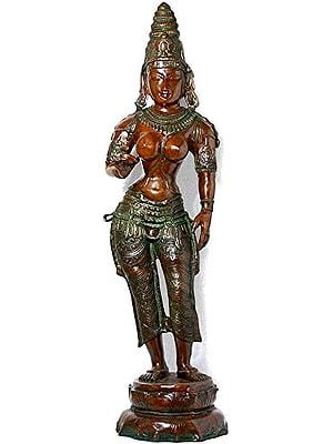 44" Large Size Goddess Parvati Shivakamasundari In Brass | Handmade | Made In India