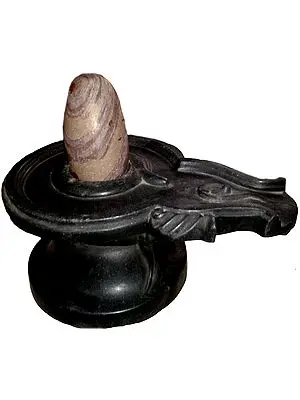 Narmada Valley Shiva Linga