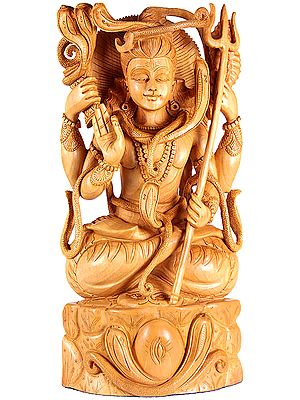 Yoga Dakshinamurti Shiva