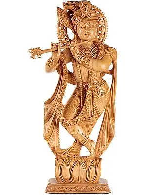 Krishna's Maya