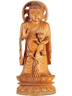 Japanese Preaching Buddha Holding a Stem of Lotus Flower