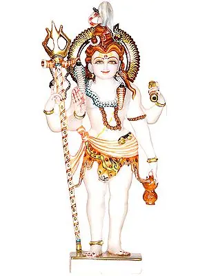 A Devotee's Loving Vision of Lord Shiva