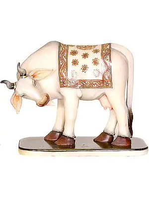 Mother Cow