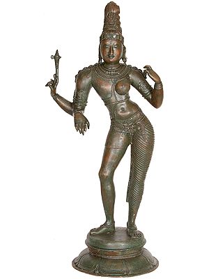 A Classical, Composite Image of Shiva and Parvati