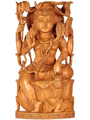 Lord Shiva
