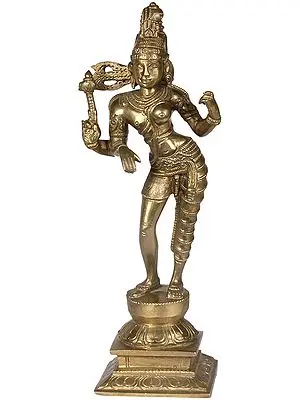 Ardhanarishvara (Shiva Shakti)