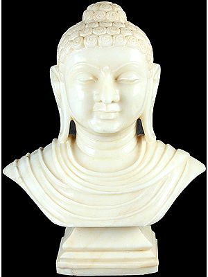 The Marble Bust of the Buddha: The Awakened Master