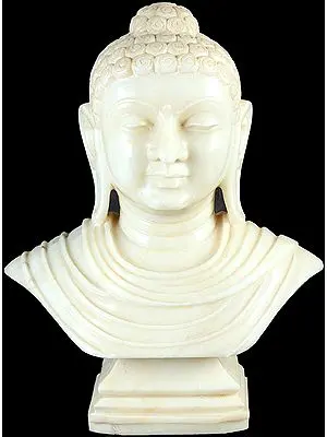 The Marble Bust of the Buddha: The Awakened Master
