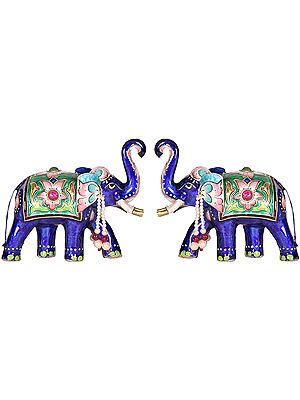 Pair of Elephants
