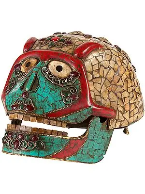 Skull