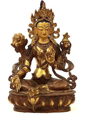 The Savior Goddess Green Tara
