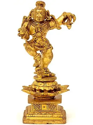 Baby Krishna
