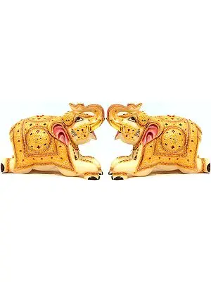 The Elephant Pair