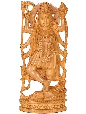 Goddess Kali