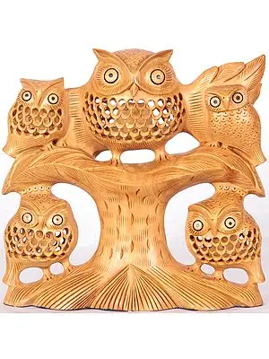 Owl Family