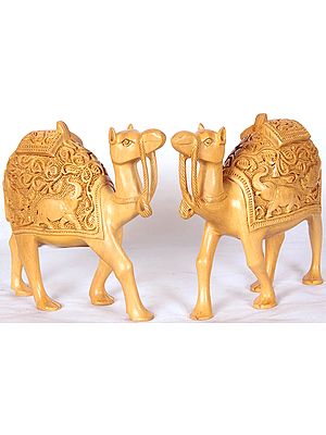 Handcrafted Camel Pair