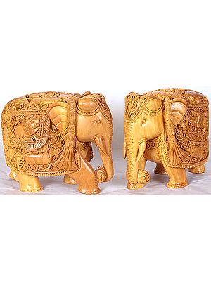 Elephant Pair (Body Engraved with Wild Life Scenes)