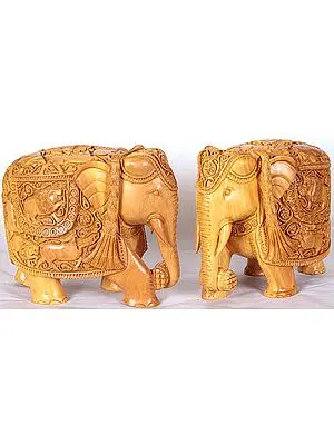 Elephant Pair (Body Engraved with Wild Life Scenes)