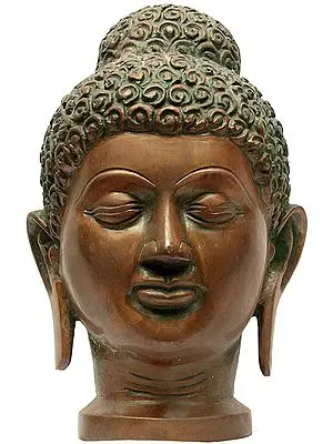 Buddha Head
