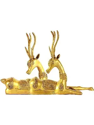 Antelope Pair