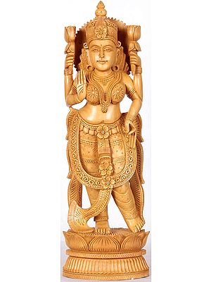 Four-armed Standing Lakshmi Ji