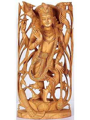 Lord Vishnu in the Dance of Creation