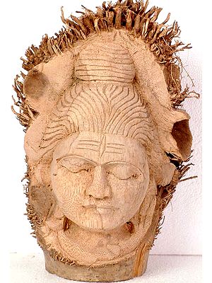 Shiva Carved in Coconut