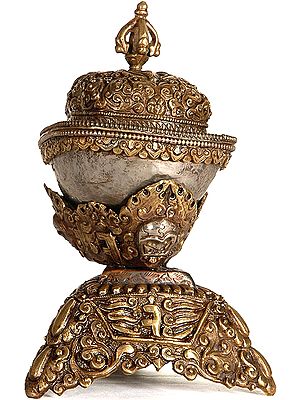 Skull Cup with Lid and Base