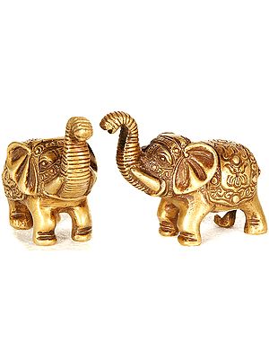 Elephant Pair with Upraised Trunks (Supremely Auspicious According to Vastu)