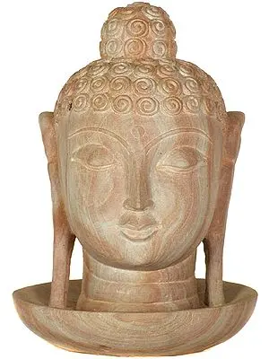 The Buddha Head