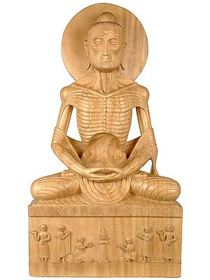 The Failed (But Inspiring) Experiment