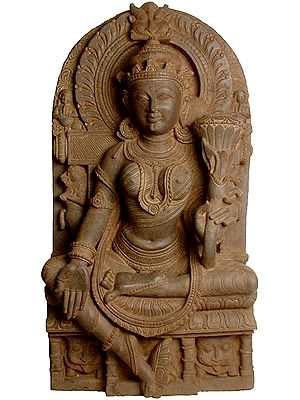 The Goddess Tara