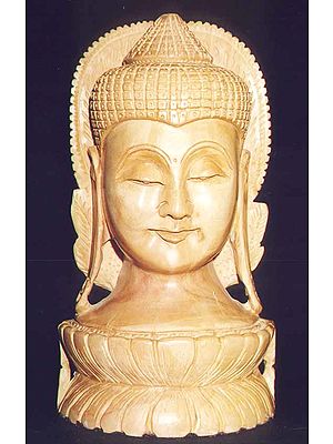 The Manushi Buddha