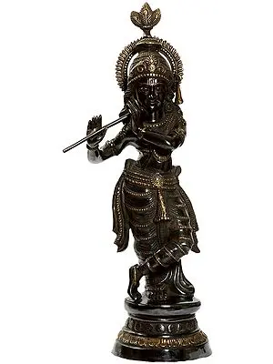 Lord Sri Krishna - The Black Beauty