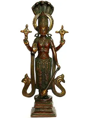 Lord Vishnu - The Axis of the World