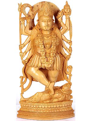 The Infinite Fount of Shakti