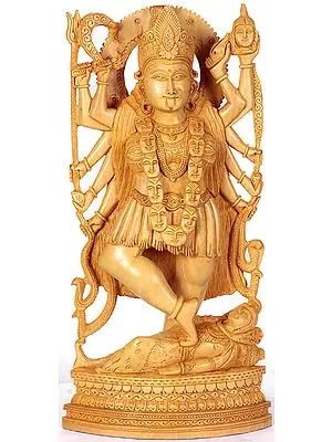 The Infinite Fount of Shakti