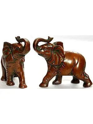 Elephant Pair with Upraised Trunks (Supremely Auspicious According to Vastu)