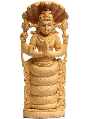 Patanjali - Founder of Yoga