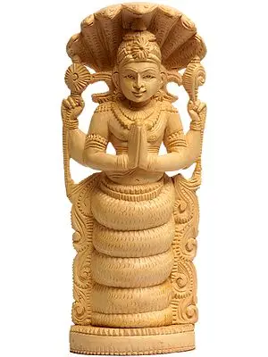 Patanjali - Founder of Yoga