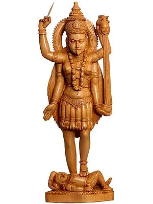 'Wearing' The Offerings of Her Devotees