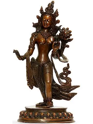 Standing Tara