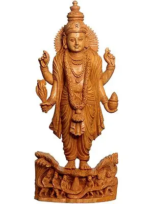 Dhanavantari: The Physician of Gods
