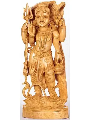 Lord Shiva