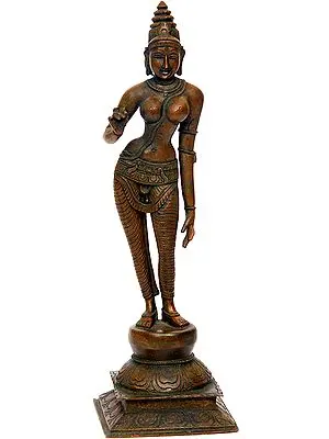 Goddess Parvati